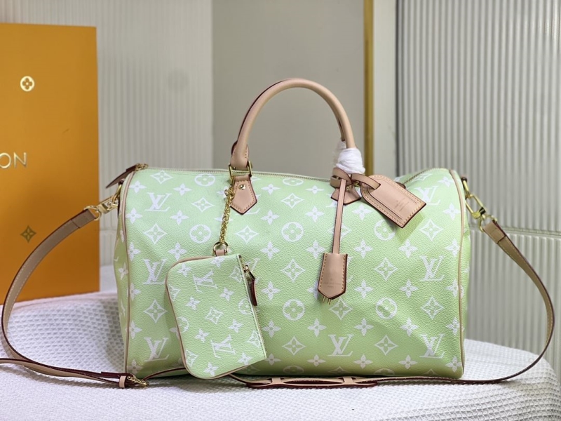 LV Travel Bags